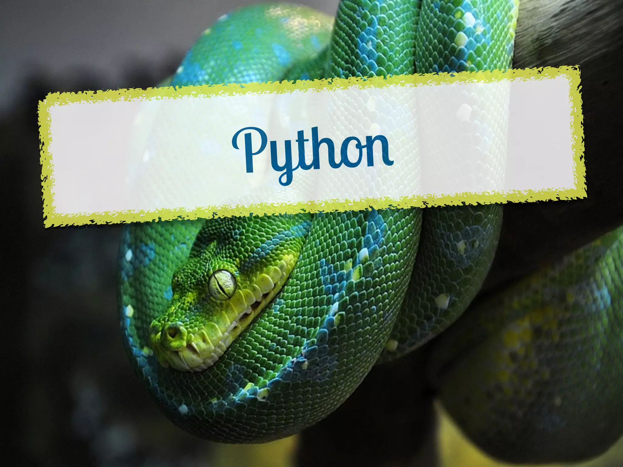 Python 
 