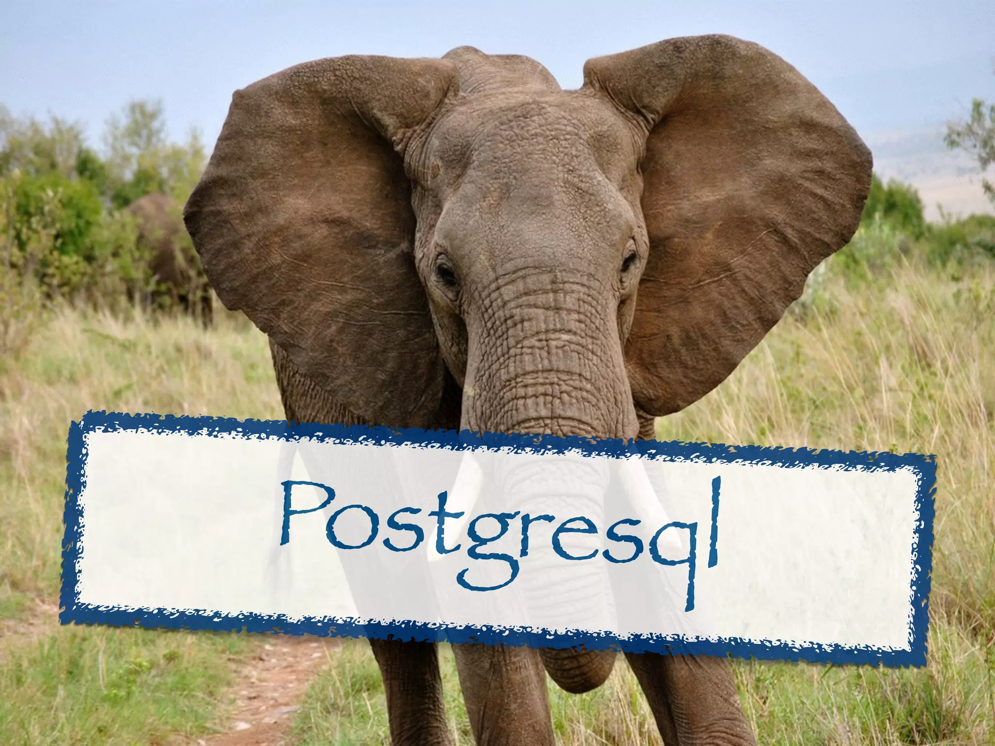 Postgresql 
 