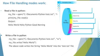 PYTHON_Presentation_by_Team_Lionsden.pptx