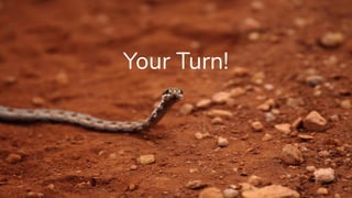 Your Turn!
 