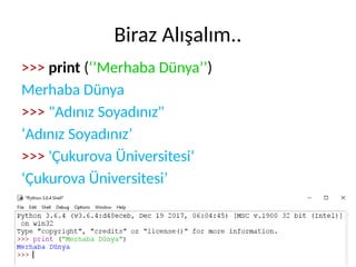INFTEC-2024 Python Programlama Giriş Kursu | PDF