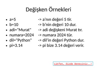 INFTEC-2024 Python Programlama Giriş Kursu | PDF