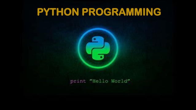 Python Programming.pdf