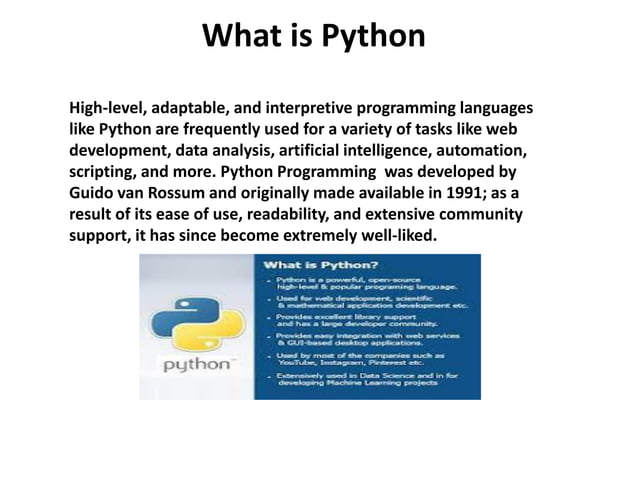python programming.pdf