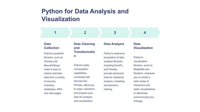 overview of python programming language.pptx