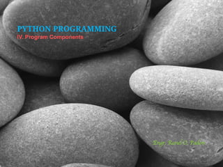 PYTHON PROGRAMMING
IV. Program Components

Engr. Ranel O. Padon

 