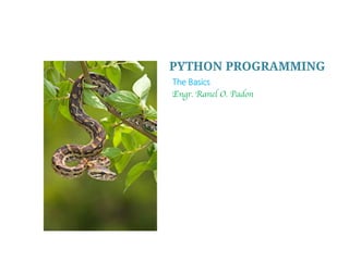 Engr. Ranel O. Padon
PYTHON PROGRAMMING
II. The Basics
 