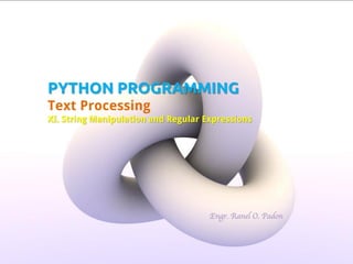 PYTHON PROGRAMMING
Text Processing
XI. String Manipulation and Regular Expressions

Engr. Ranel O. Padon

 