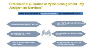 Python programming assignment help