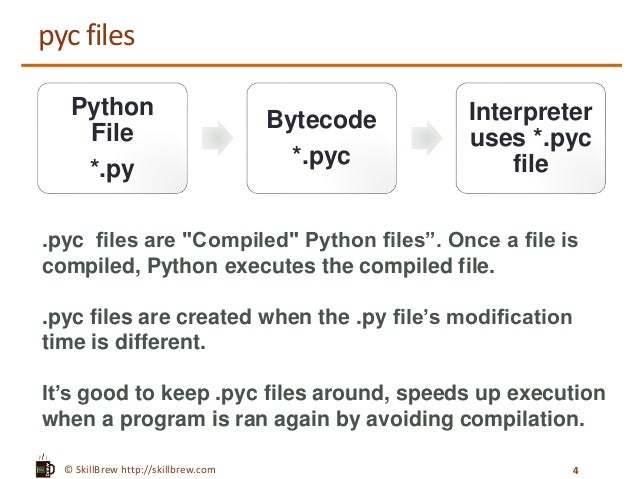 Python Programming Essentials - M29 - Python Interpreter and Files