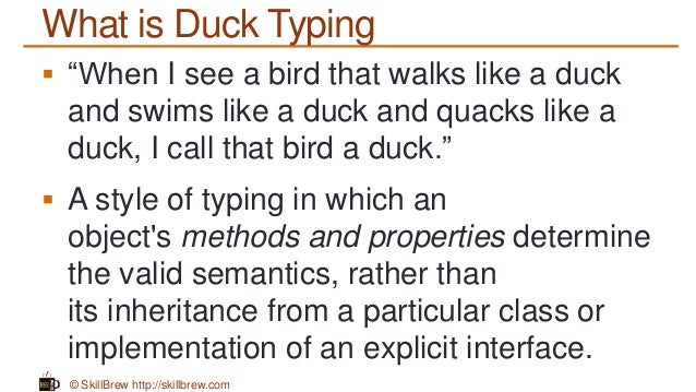 duck typing duck typing