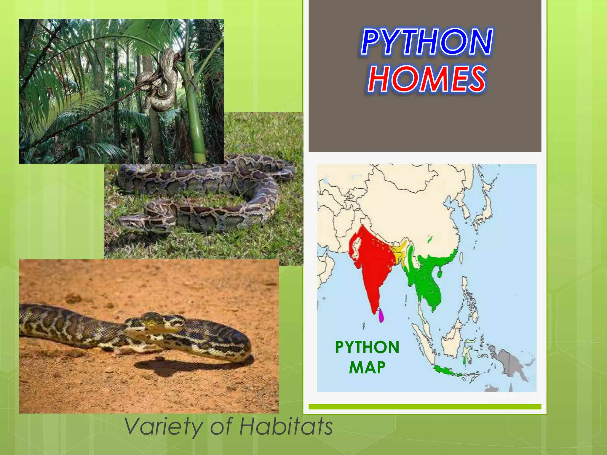 Variety of Habitats
PYTHON
MAP