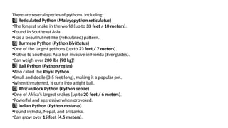 Python snake and its types in nature.pptx