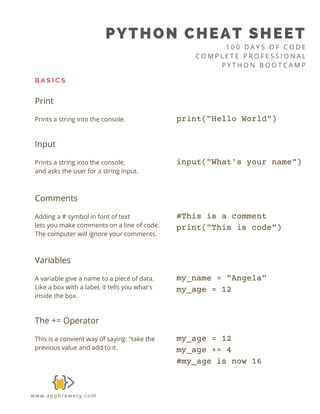 Python+Syntax+Cheat+Sheet+Booklet.pdf
