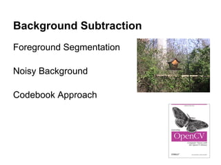 Background Subtraction
Foreground Segmentation

Noisy Background

Codebook Approach
 