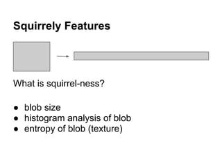 Squirrely Features




What is squirrel-ness?

● blob size
● histogram analysis of blob
● entropy of blob (texture)
 