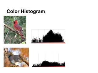 Color Histogram
 