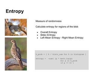 Entropy
          Measure of randomness

          Calculate entropy for regions of the blob

           ●   Overall Entropy
           ●   Stdev Entropy
           ●   Left Mean Entropy - Right Mean Entropy




          h_prob = [ h / histo_sum for h in histogram ]

          entropy =   -sum( [p * math.log(p)
                                 for p in h_prob
                                 if p != 0] )
 