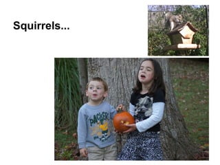 Squirrels...
 