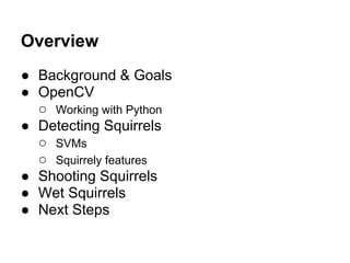 Overview
● Background & Goals
● OpenCV
  ○ Working with Python
● Detecting Squirrels
  ○ SVMs
  ○ Squirrely features
● Sho...