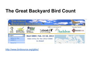 The Great Backyard Bird Count




http://www.birdsource.org/gbbc/
 