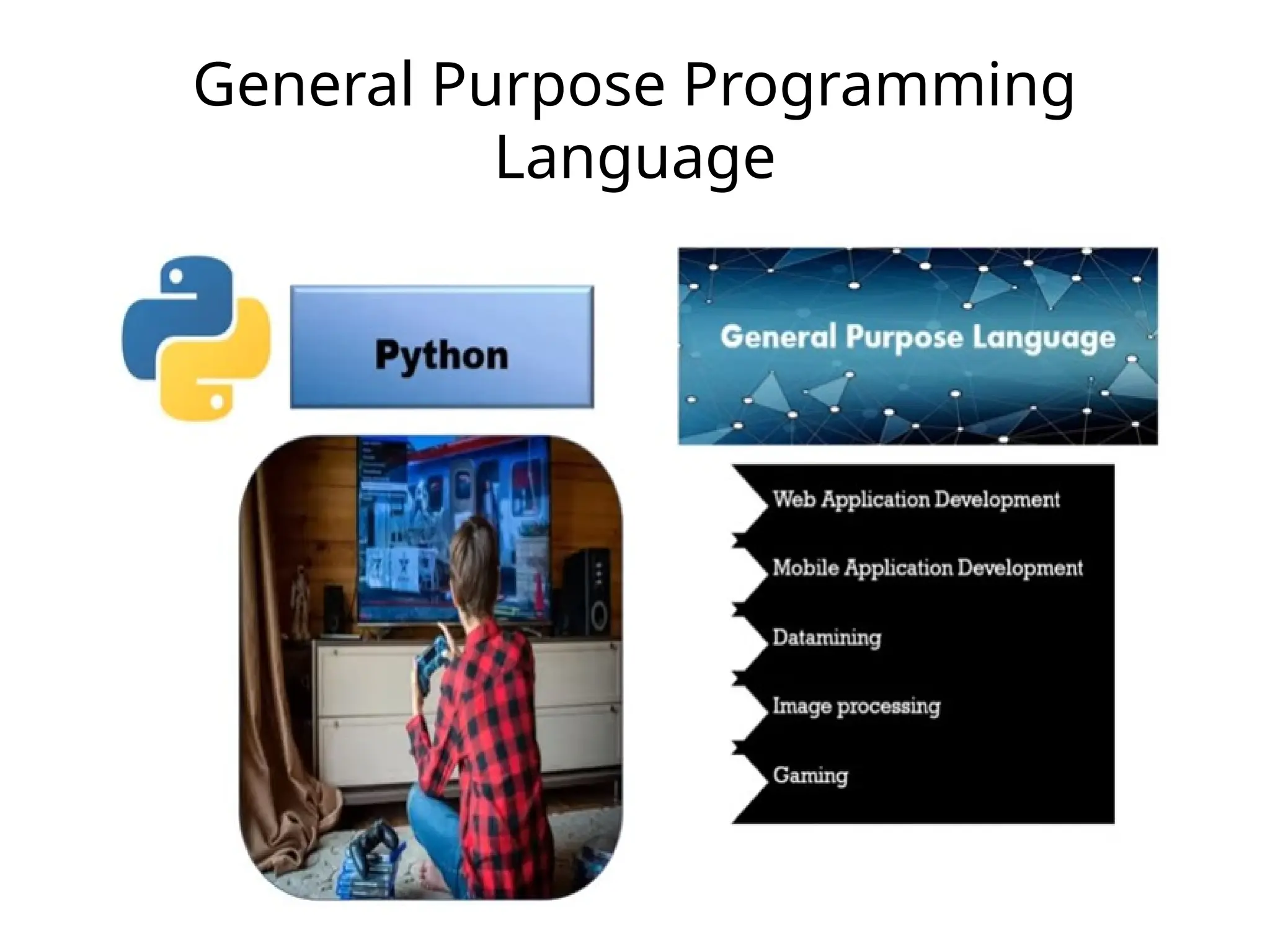 General Purpose Programming Language