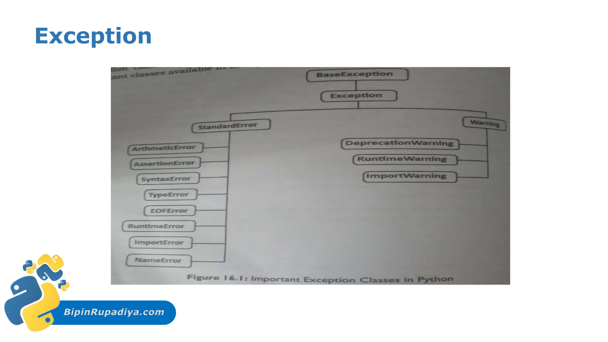 BipinRupadiya.com
Exception
 