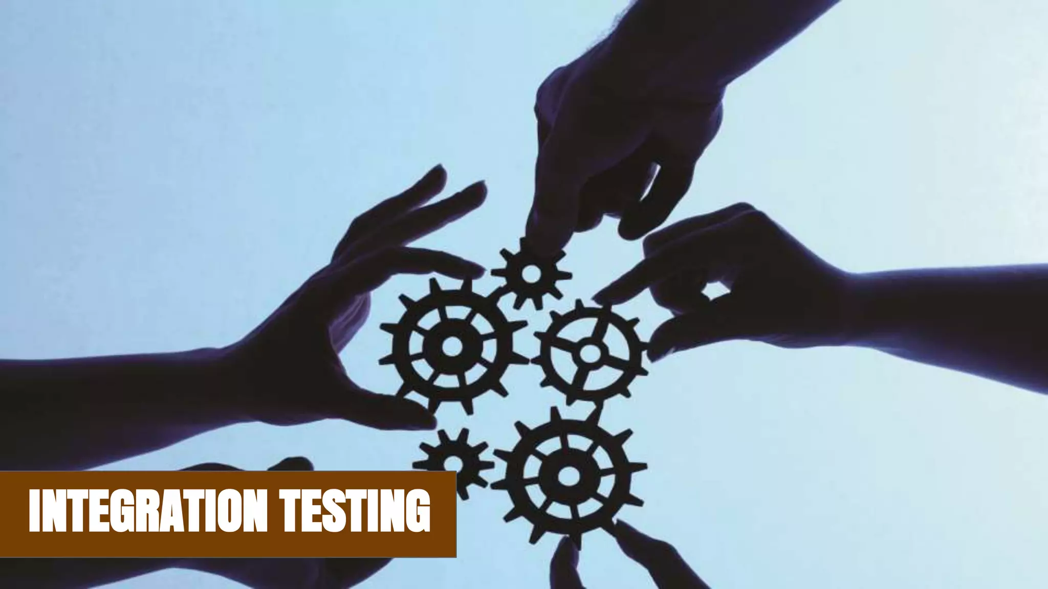 INTEGRATION TESTING
 