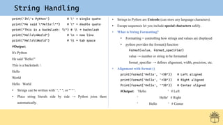 Introduction to Python Programming for Engineering Students | PDF