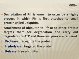 CONT…
 Degradation of Pfr is known to occur by a highly
process in which Pfr is first attached to small
protein called ubiquitin.
 Attachment of ubiquitin to Pfr or to other protein
targets them for degradation and carry out
degradation’s ATP and three enzymes are required.
1. Protease : recognize the protein
2. Hydrolyase: targeted the protein
3. Release: free ubiquitin
 