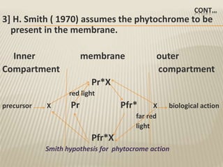 CONT…
3] H. Smith ( 1970) assumes the phytochrome to be
present in the membrane.
Inner membrane outer
Compartment compartment
Pr*X
red light
precursor X Pr Pfr* X biological action
far red
light
Pfr*X
Smith hypothesis for phytocrome action
 