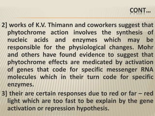 CONT…
2] works of K.V. Thimann and coworkers suggest that
phytochrome action involves the synthesis of
nucleic acids and enzymes which may be
responsible for the physiological changes. Mohr
and others have found evidence to suggest that
phytochrome effects are medicated by activation
of genes that code for specific messenger RNA
molecules which in their turn code for specific
enzymes.
3] their are certain responses due to red or far – red
light which are too fast to be explain by the gene
activation or repression hypothesis.
 