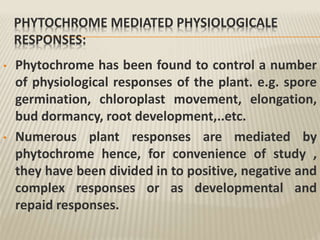 PHYTOCHROME MEDIATED PHYSIOLOGICALE
RESPONSES:
• Phytochrome has been found to control a number
of physiological responses of the plant. e.g. spore
germination, chloroplast movement, elongation,
bud dormancy, root development,..etc.
• Numerous plant responses are mediated by
phytochrome hence, for convenience of study ,
they have been divided in to positive, negative and
complex responses or as developmental and
repaid responses.
 