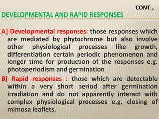 DEVELOPMENTAL AND RAPID RESPONSES
A] Developmental responses: those responses which
are mediated by phytochrome but also involve
other physiological processes like growth,
differentiation certain periodic phenomenon and
longer time for production of the responses e.g.
photoperiodism and germination
B] Rapid responses : those which are detectable
within a very short period after germination
irradiation and do not apparently interact with
complex physiological processes e.g. closing of
mimosa leaflets.
CONT…
 
