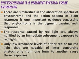 PHYTOCHROME IS A PIGMENT SYSTEM: SOME
EVIDENCES
 There are similarities in the absorption spectra of
phytochrome and the action spectra of plant
responses is one important evidence suggesting
that phytochrome is the pigment causing such
responses.
 The response caused by red light are, always
nullified by an immediate subsequent exposure to
red light.
 Only low irradiance levels of either red or far red
light that are capable of inter converting
phytochrome from one form to another cause
these responses.
 
