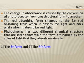 CONT…
 The change in absorbance is caused by the conversion
of photoreceptor from one structural form to another.
 The red absorbing form changes to the far red
absorbing from when it absorb red light and back
again when it absorb far red light.
 Phytochrome has two different chemical structure
that are inter-convertible the form are named by the
color of light that they absorb maximally.
1] The Pr form and 2] The Pfr form
 
