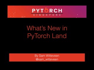 What’s New in
PyTorch Land
By Sam Witteveen
@sam_witteveen
 