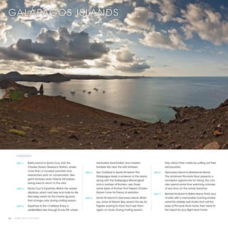 GALÁPAGOS ISLANDS




       ITINERARY

       [DAY 1]	   Baltra Island to Santa Cruz. Visit the                      red-footed, blue-footed, and masked                       they attract their mates by puffing out their
                  Charles Darwin Research Station, where                      boobies live near the wild tortoises.                     red pouches.
                  more than a hundred scientists and
                                                                   [DAY 4]	   San Cristóbal to Santa Fé Island. The          [DAY 6]	   Genovesa Island to Bartolomé Island.
                  researchers work on conservation. See
                                                                              Galapagos Hawk is endemic to this island,                 The landmark Pinnacle Rock presents a
                  giant tortoises when they’re still babies,
                                                                              along with the Galápagos Mockingbird                      wonderful opportunity for hiking. You can
                  being bred to return to the wild.
                                                                              and a number of finches—yes, those                        also spend some time watching colonies
       [DAY 2]	   Santa Cruz to Española. Watch the waved                     same types of finches that helped Charles                 of sea lions on the sandy beaches.
                  albatross, which nest here and mate for life.               Darwin hone his theory of evolution.
                                                                                                                             [DAY 7]	   Bartolomé Island to Baltra Island. Finish your
                  Also keep watch for the marine iguanas
                                                                   [DAY 5]	   Santa Fé Island to Genovesa Island. When                  charter with a memorable morning snorkel
                  that change color during mating season.
                                                                              you arrive at Darwin Bay, search the sky for              amid the whitetip reef sharks that call the
       [DAY 3]	   Española to San Cristóbal. Enjoy a                          frigates looking for food. You’ll see them                base of Pinnacle Rock home, then head to
                  wildlife-filled hike through Punta Pitt, where              again on shore. During mating season,                     the airport for your flight back home.


26 | PRIVATE YACHT VACATIONS
 