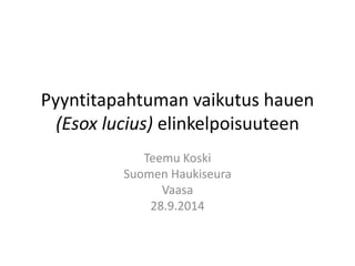 Pyyntitapahtuman vaikutus hauen 
(Esox lucius) elinkelpoisuuteen 
Teemu Koski 
Suomen Haukiseura 
Vaasa 
28.9.2014 
 