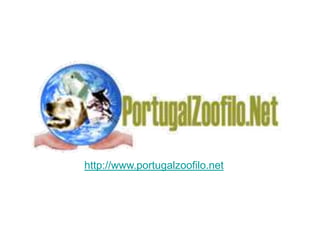 http://www.portugalzoofilo.net 