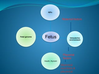 Fetus
IGFs
Intrauterine
environment
Insulin, thyroxin
Fetal genome
Placental
factors
Maternal
nutrition &
placental
Maternal factors
 