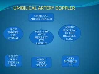 UMBILICAL ARTERY DOPPLER
UMBILICAL
ARTERY DOPPLER
FLOW
INDICES
ARE
NORMAL
PI/RI >2 SD
ABOVE
MEAN BUT
EDV
PRESENT
ABSENT
/REVERSAL
OF END
DIASTOLIC
FLOW
REPEAT
AFTER
EVERY 14
DAYS
DAILY
MONITORI
NG
REPEAT
TWICE
WEEKLY
 