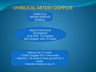 UMBILICAL ARTERY DOPPLER
UMBILICAL
ARTERY DOPPLER
NORMAL
Repeat Ultrasound
(Fortnightly)
AC & EFW UA Doppler
MCA Doppler after 32 weeks
Delivery by 37 weeks
• If MCA Doppler PI>5th
Percentile
• Delivery > 34 weeks if static growth for 3
weeks
• Steroids if delivery by C.S
 