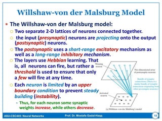 ASU-CSC445: Neural Networks Prof. Dr. Mostafa Gadal-Haqq
Willshaw-von der Malsburg Model
 The Willshaw-von der Malsburg model:
 Two separate 2-D lattices of neurons connected together.
 the input (presynaptic) neurons are projecting onto the output
(postsynaptic) neurons.
 The postsynaptic uses a short-range excitatory mechanism as
well as a long-range inhibitory mechanism.
 The layers use Hebbian learning. That
is, all neurons can fire, but rather a
threshold is used to ensure that only
a few will fire at any time.
 Each neuron is limited by an upper
boundary condition to prevent steady
building (instability).
 Thus, for each neuron some synaptic
weights increase, while others decrease.
18
 