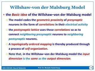 ASU-CSC445: Neural Networks Prof. Dr. Mostafa Gadal-Haqq
Willshaw-von der Malsburg Model
 the Basic idea of the Willshaw–von der Malsburg model
 The model codes the geometric proximity of presynaptic
neurons in the form of correlations in their electrical activity
 the postsynaptic lattice uses these correlations so as to
connect neighboring presynaptic neurons to neighboring
postsynaptic neurons.
 A topologically ordered mapping is thereby produced through
a process of self-organization.
 Note that, in the Willshaw–von der Malsburg model the input
dimension is the same as the output dimension.
19
 