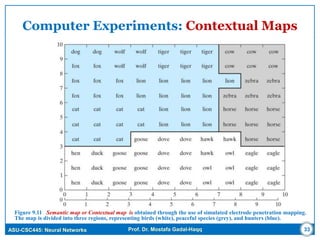 ASU-CSC445: Neural Networks Prof. Dr. Mostafa Gadal-Haqq 33
Computer Experiments: Contextual Maps
Figure 9.11 Semantic map or Contextual map is obtained through the use of simulated electrode penetration mapping.
The map is divided into three regions, representing birds (white), peaceful species (grey), and hunters (blue).
 