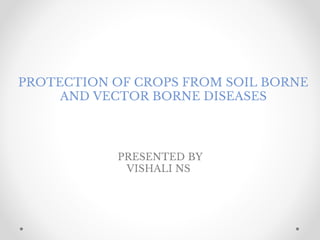 PROTECTION OF CROPS FROM SOIL BORNE
AND VECTOR BORNE DISEASES
PRESENTED BY
VISHALI NS
 