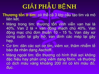GI I PH U B NHẢ Ẫ ỆGI I PH U B NHẢ Ẫ Ệ
Thương tổn ở tim:Thương tổn ở tim: có thể cả 3 lớp cấu tạo tim và môcó thể cả 3 lớp cấu tạo tim và mô
liên kết.liên kết.
• Màng trong tim: thương tổn vĩnh viễn van hai láMàng trong tim: thương tổn vĩnh viễn van hai lá
40%. Van 2 lá + van động mạch chủ 40%. Van40%. Van 2 lá + van động mạch chủ 40%. Van
động mạc chủ đơn thuần 10 - 15 %. Van dày xơđộng mạc chủ đơn thuần 10 - 15 %. Van dày xơ
cứng cuộn lại gây hở, van dính các mép lại gâycứng cuộn lại gây hở, van dính các mép lại gây
hẹp.hẹp.
• Cơ tim: dãn các sợi cơ tim, viêm xơ, thâm nhiễm tếCơ tim: dãn các sợi cơ tim, viêm xơ, thâm nhiễm tế
bào đa nhân dạng Aschoff.bào đa nhân dạng Aschoff.
• Màng ngoài tim: tổn thương có hình thái sợi khôngMàng ngoài tim: tổn thương có hình thái sợi không
đặc hiệu hay phản ứng viêm dạng fibrin, và thườngđặc hiệu hay phản ứng viêm dạng fibrin, và thường
có dịch màu vàng khoảng 200 ml có khi màu đỏ,có dịch màu vàng khoảng 200 ml có khi màu đỏ,
đục.đục.
 