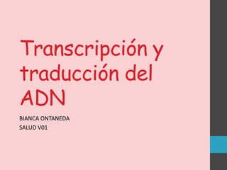 Transcripción y
traducción del
ADN
BIANCA ONTANEDA
SALUD V01

 
