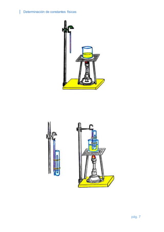 Determinación de constantes físicas 
pág. 7 
 